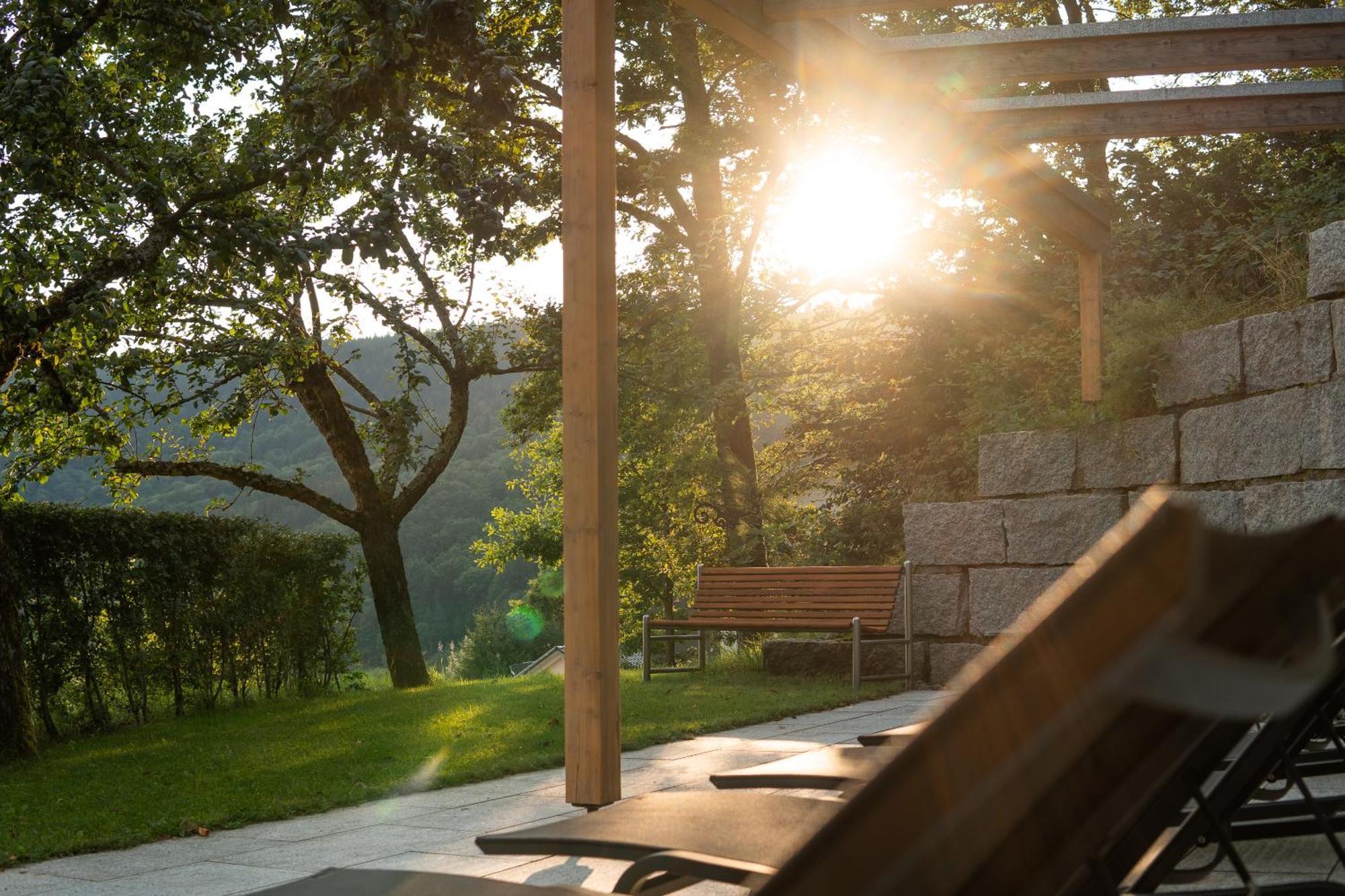 ElzLand Hotel Pfauen WELLNESS, SPA&VITALIS HOTEL Elzach Exterior foto